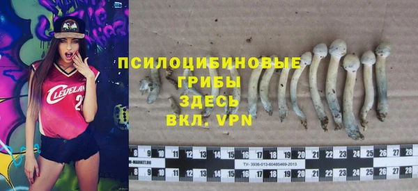 прущая мука Абаза